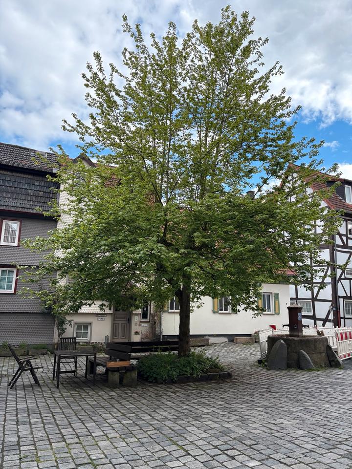 Thumbnail-4 Zimmer DGW direkt in Alsfeld Innenstadt