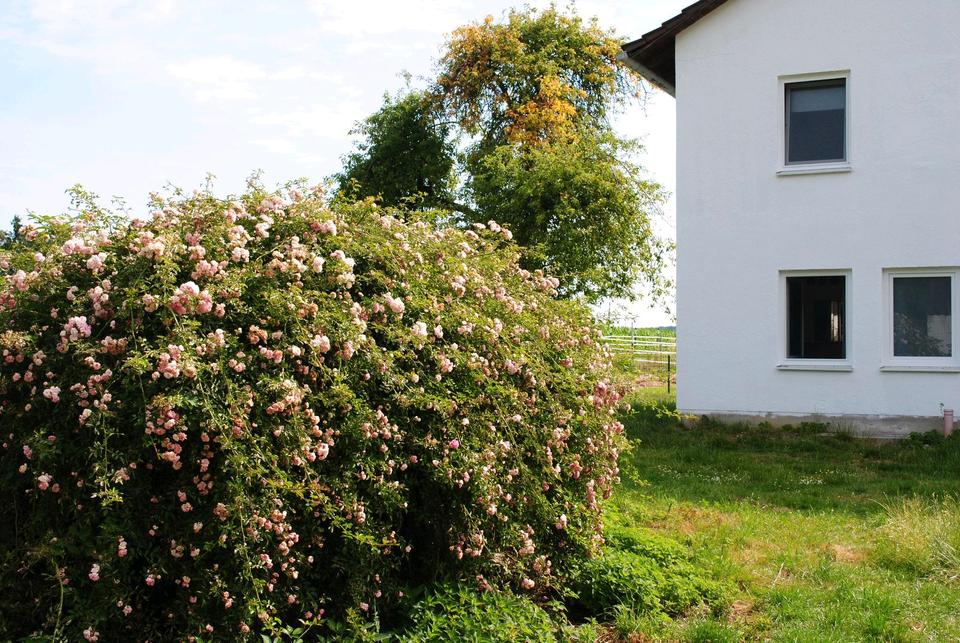 Thumbnail-Hof in Alleinlage Sacherl zu verkaufen