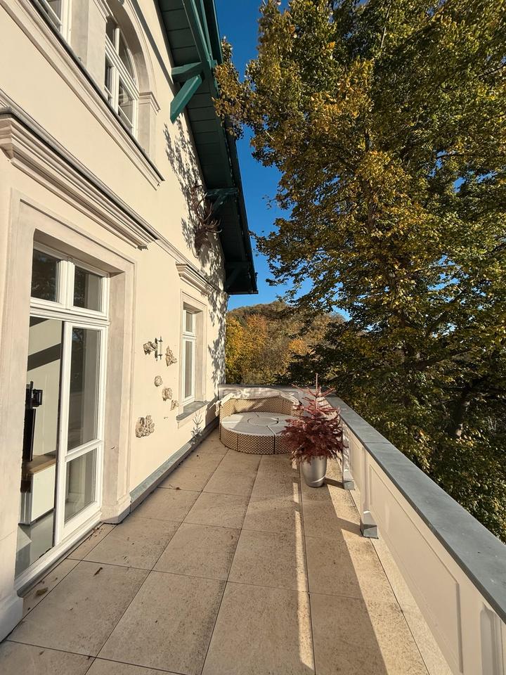 Thumbnail-2 Raumwohnung möbliert in Radebeul