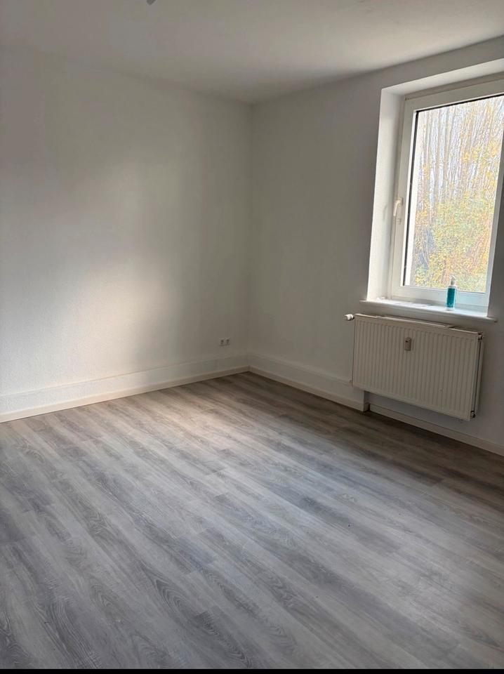 Thumbnail-Große Wohnung in Lauenhagen frisch renoviert