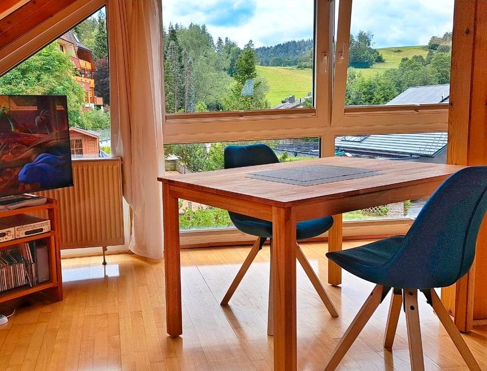 Thumbnail-Ruhige erholsame Ferienwohnung im Hochschwarzwald m. Zug od. Auto