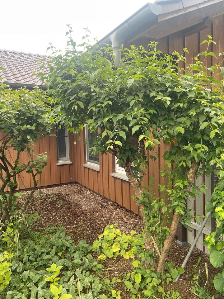 Thumbnail-Nur noch bis Januar provisionsfrei! Einfamilienhaus 3ZKB.