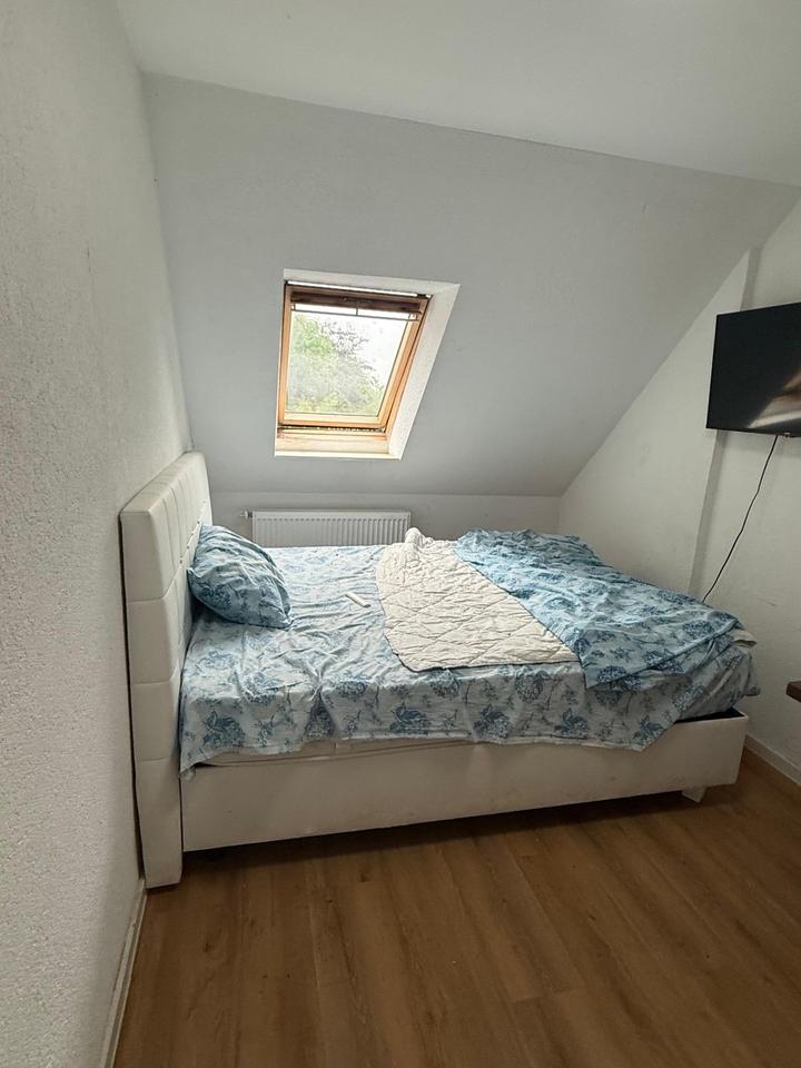 Thumbnail-WG Zimmer zu Vermieten