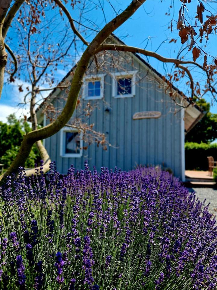 Thumbnail-Ferienhaus Tietverdriew Glowe Rügen Boddeninge Ostsee