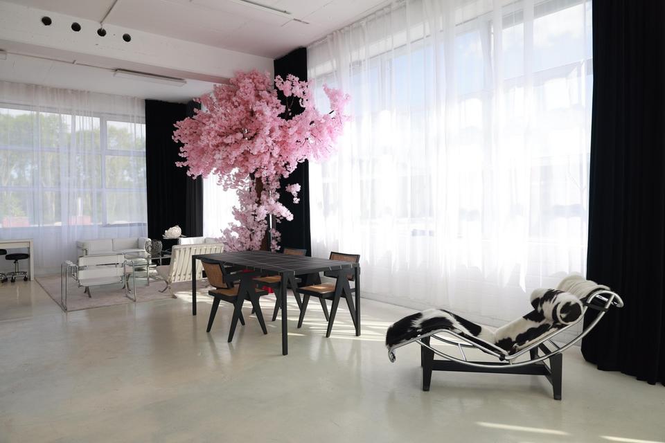 Thumbnail-Studio Membership für Fotografen & Content Creator