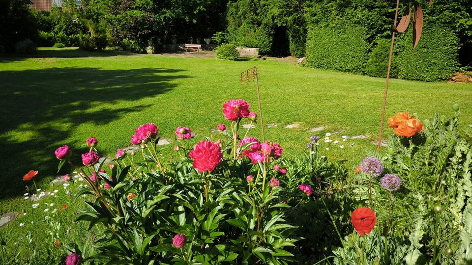 Thumbnail-EinfamilienhausBaugrundstück mit Potenzial, 3626m² Halbhöhenlage