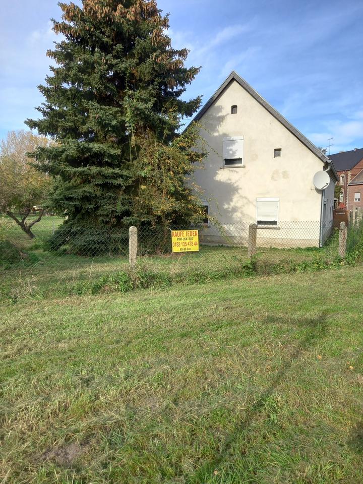 Thumbnail-Einfamilienhaus in Plossig,Annaburg