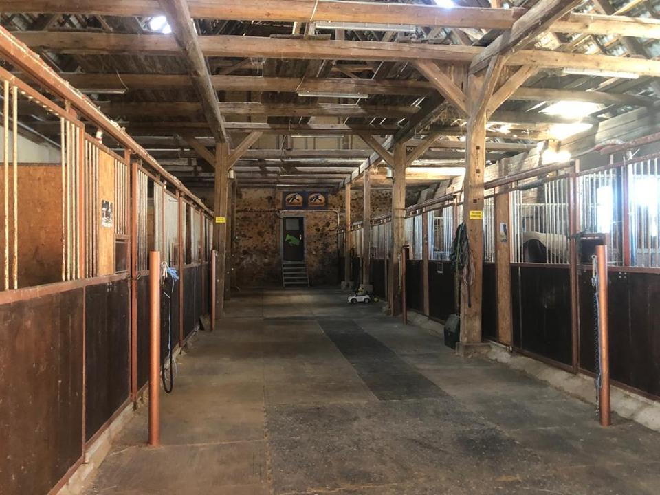 Thumbnail-Pferdehaltung, Mehrfamilienhaus, Wohngemeinschaft