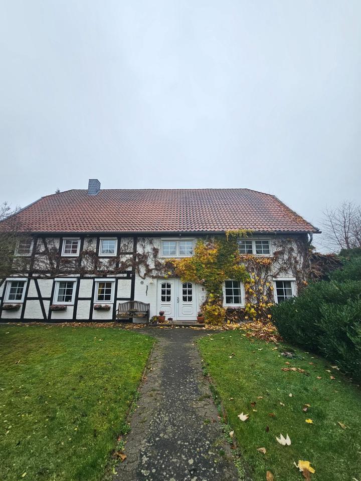 Thumbnail-Attraktive 3-Zimmer Einliegerwohnung in ruhiger Lage