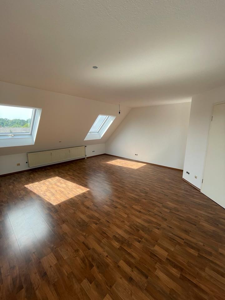 Thumbnail-Geräumige, frisch modernisierte Einzimmerwohnung