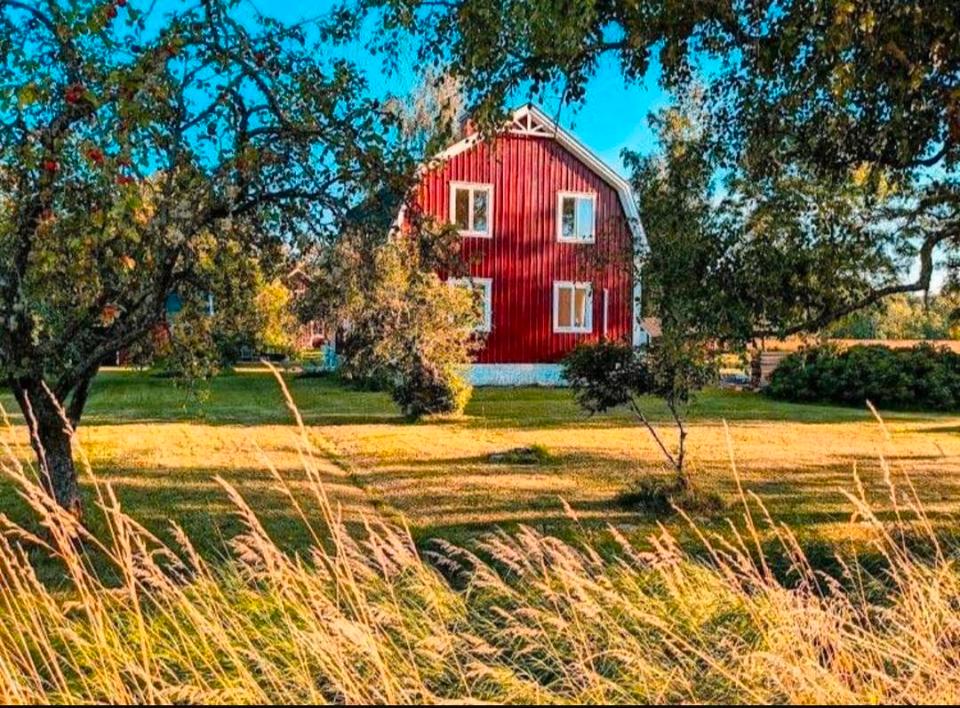 Thumbnail-Ferienhaus, Südschweden, Västergötland, Sauna, Boot & Garten