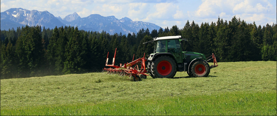 Thumbnail-Allgäuer Bio-Bauernhof in traumhafter Alleinlage