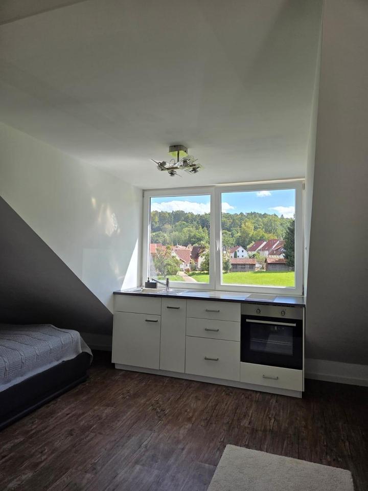 Thumbnail-1-Zimmer Wohnung im Grünen