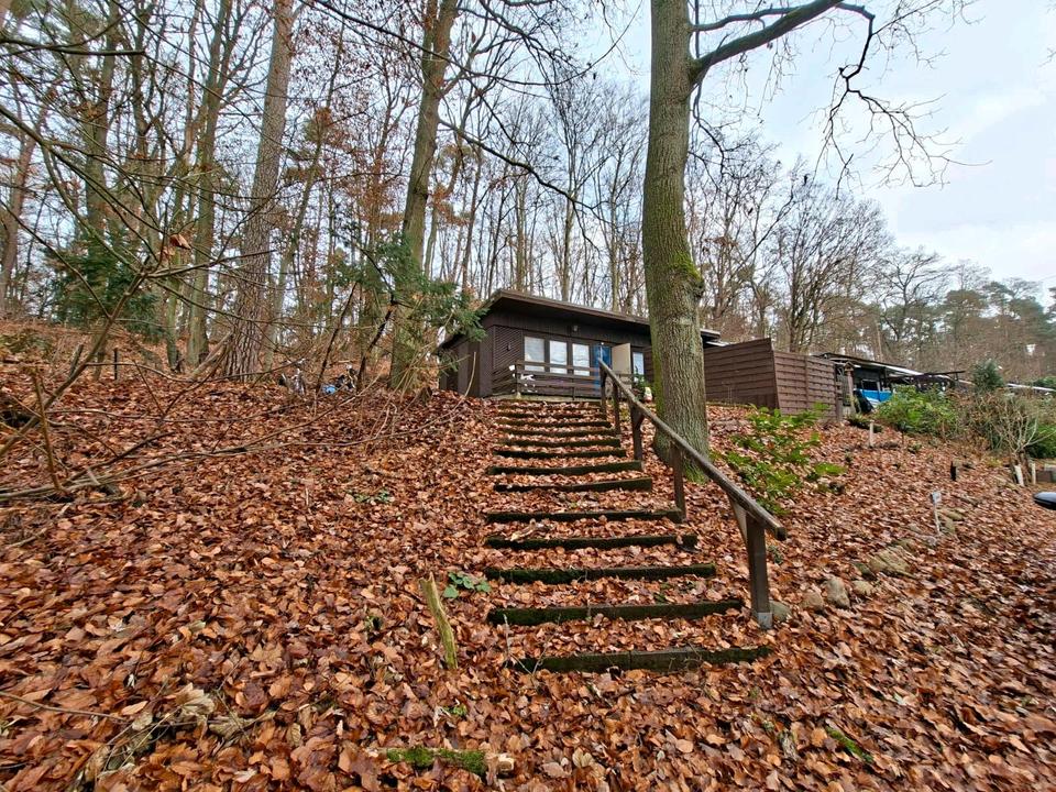 Thumbnail-Bungalow am Helenesee DachsbergeUrlaubWaldSee