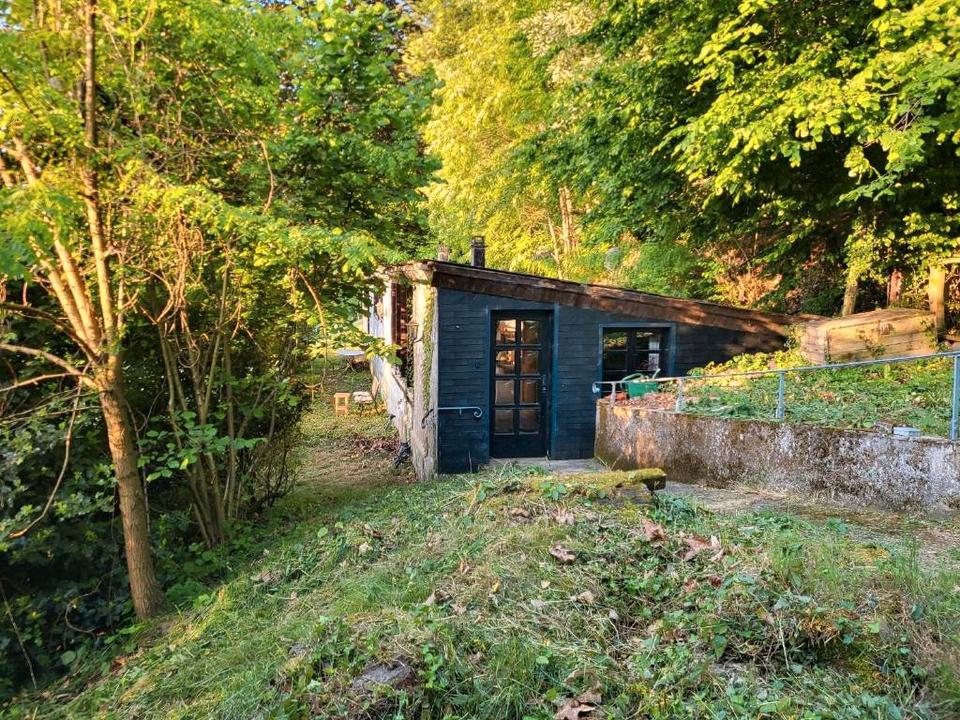 Thumbnail-Naturpur: kleines Wohngebäude + 5ha Wald in 66701 Beckingen