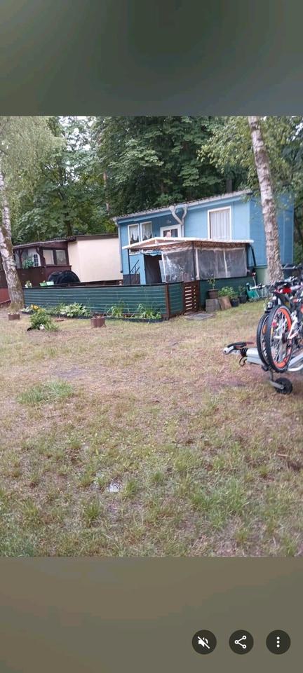 Thumbnail-Bungalow und Boot in Zechliner Hütte