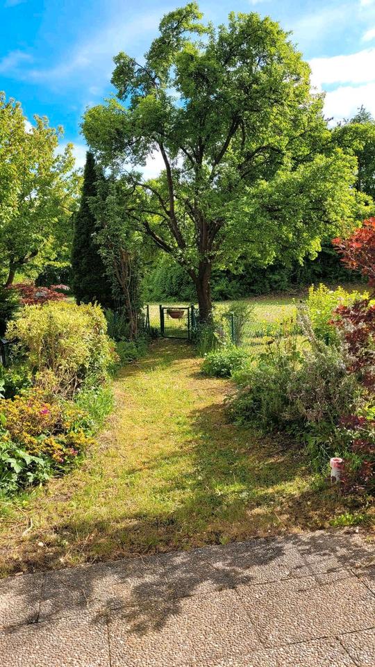 Thumbnail-EG-Wohnung, Garten, 2-Zimmer+Souterrain zu vermieten in Olching