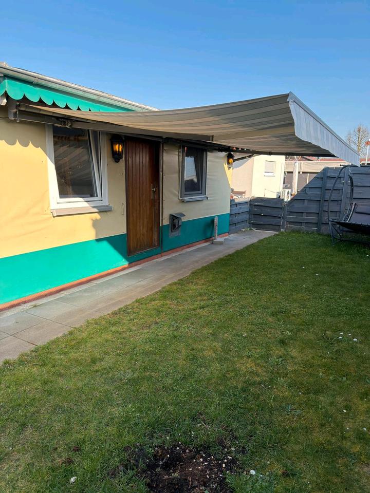 Thumbnail-Oase am Kinzigsee