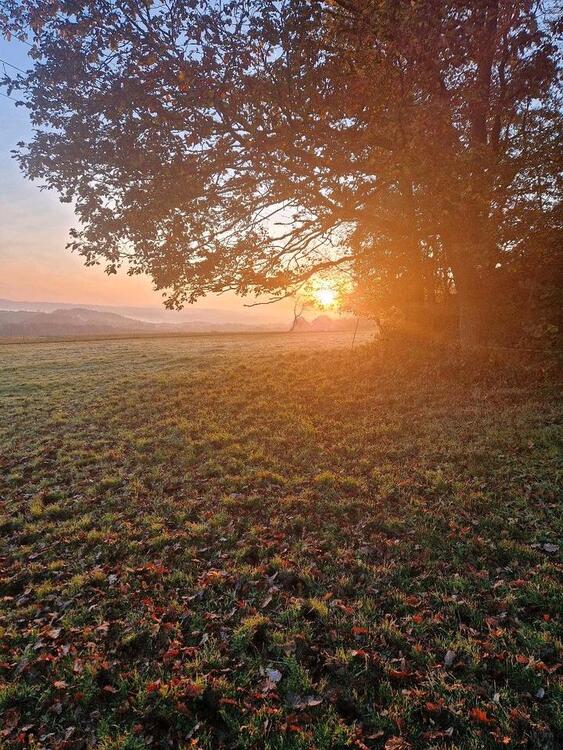 Thumbnail-Ferienwohnung auf Pferdehof