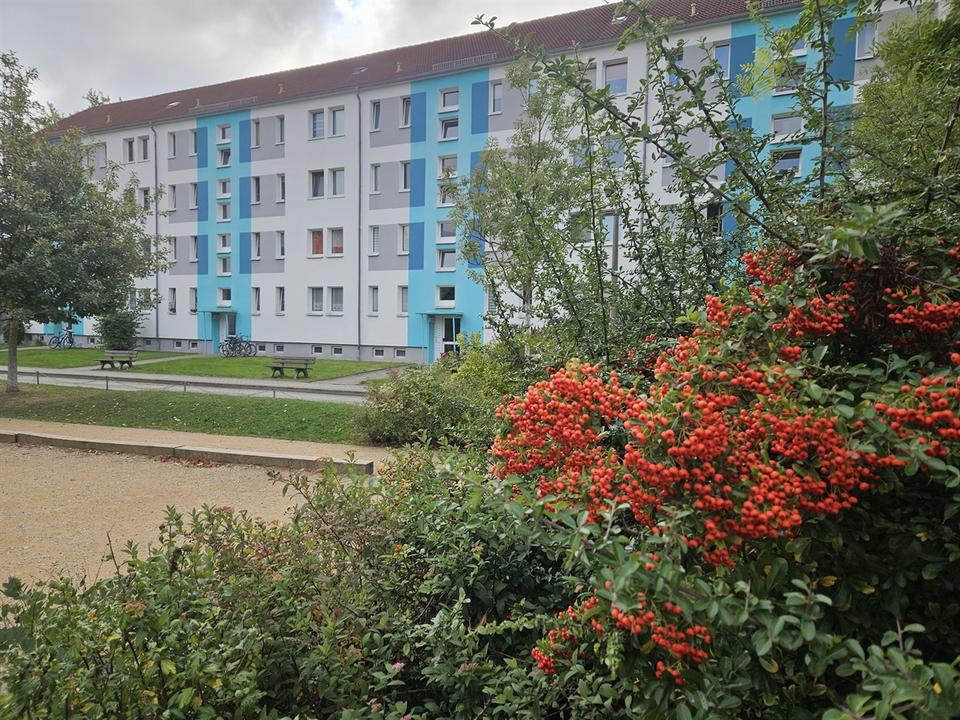 Thumbnail-Genießen Sie den Ausblick