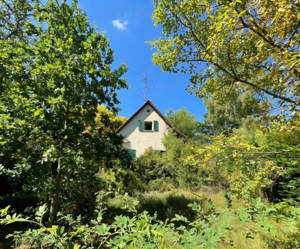 Thumbnail-Zwei Häuser auf einem paradiesischen Grundstück