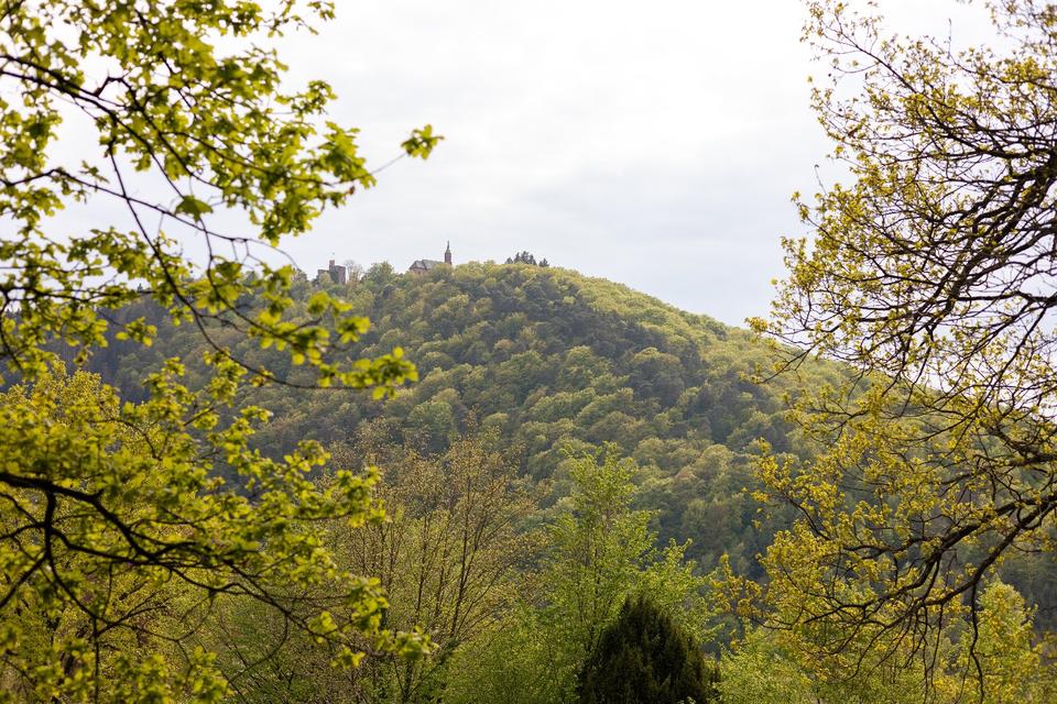 Thumbnail-Grundstück mit großem Potenzial in idyllischer Hanglage in Neckar