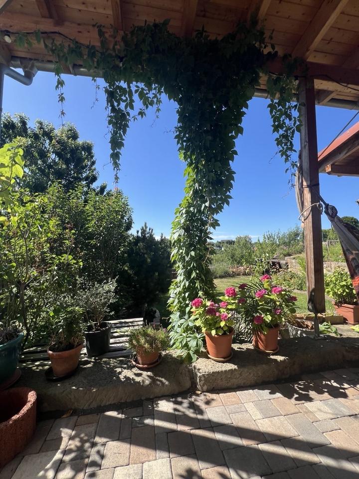 Thumbnail-Einfamilienhaus mit Terrasse und Garten in Wolfhagen-Kernstadt