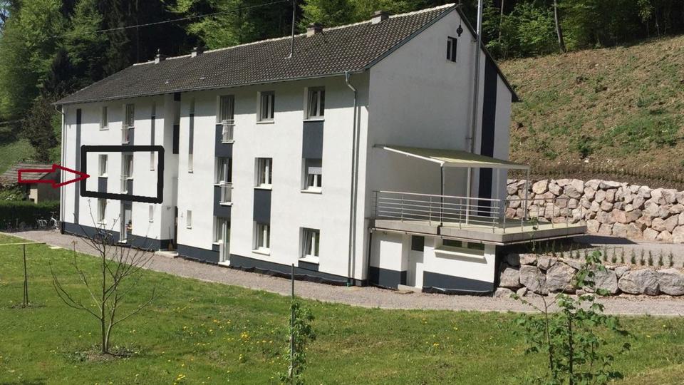 Thumbnail-Neu renovierte 2 Zimmer Wohnung