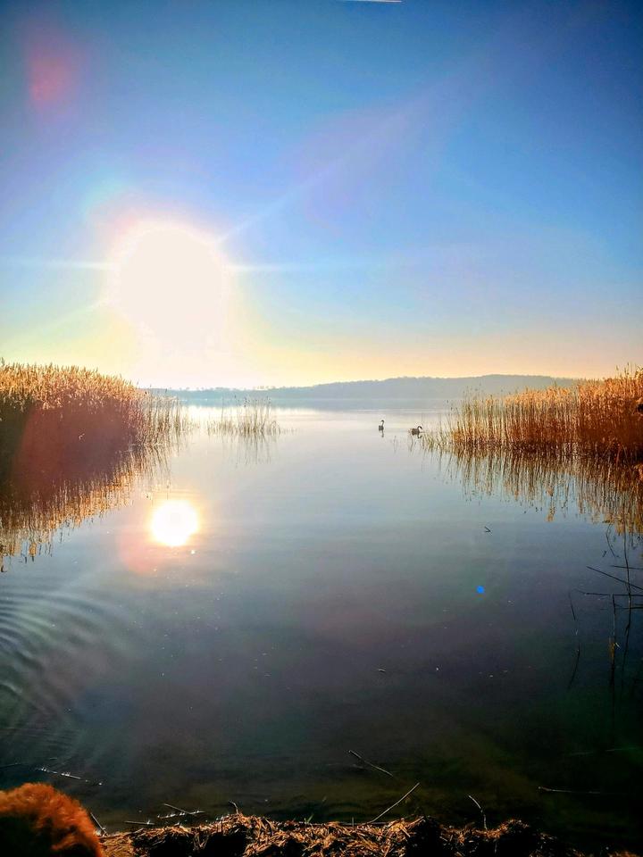 Thumbnail-Nachmieter 3-RW in 17166 Bristow ab 06.2026