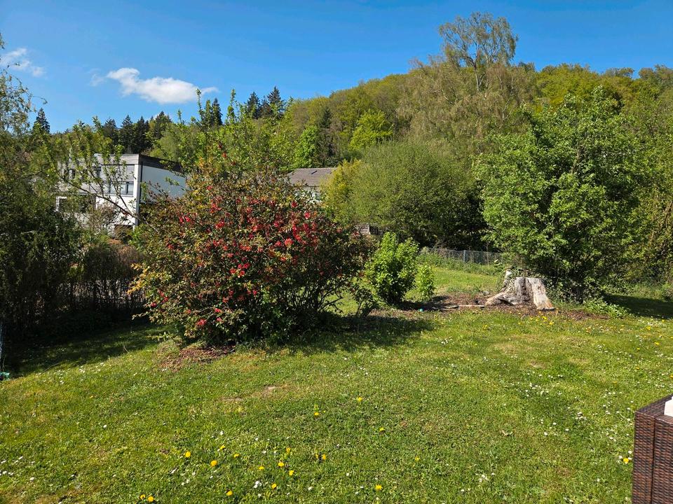 Thumbnail-3 Zimmer Wohnung mit grossen Garten und Garage zu vermieten.