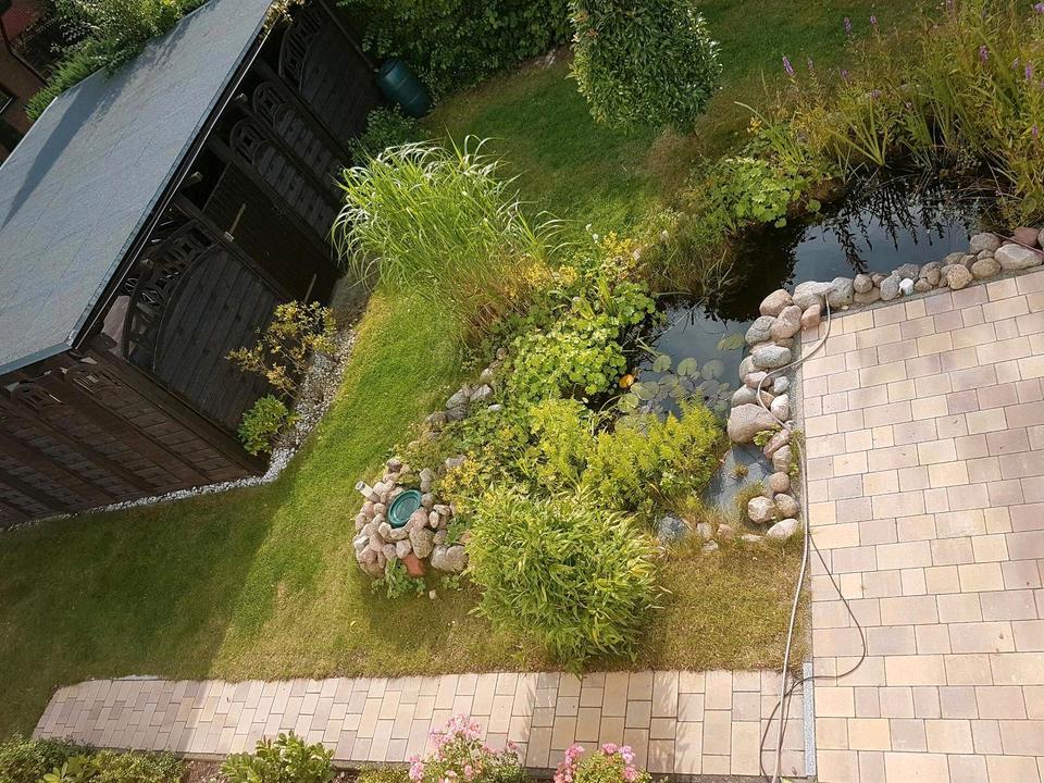 Thumbnail-sonniges Einfamilienhaus im Grünen, Stralsund nah