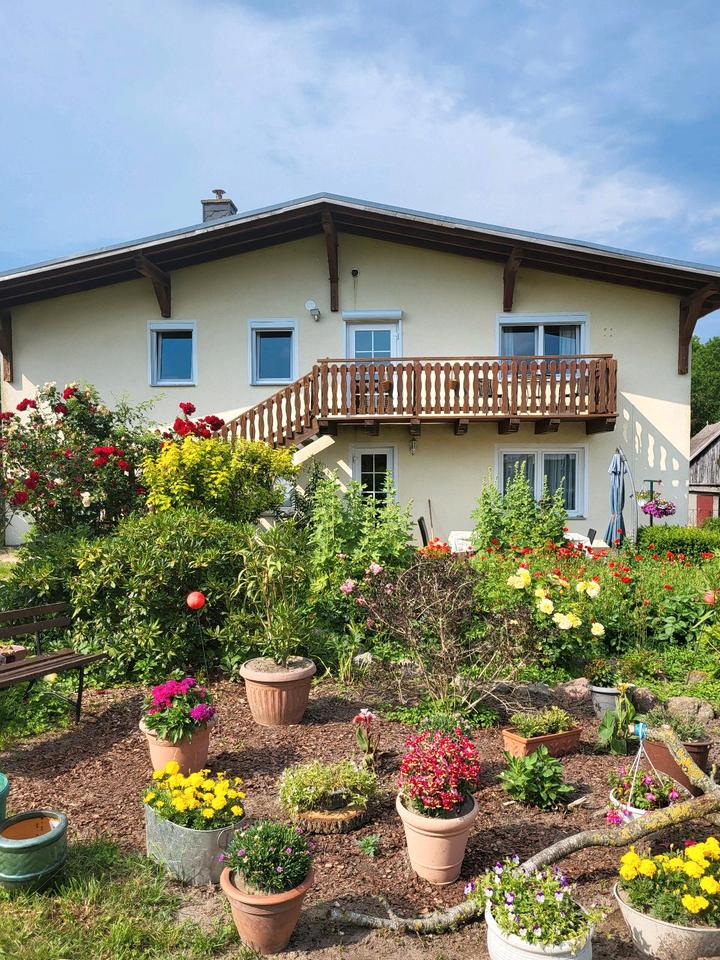 Thumbnail-Ferienwohnung auf Usedom