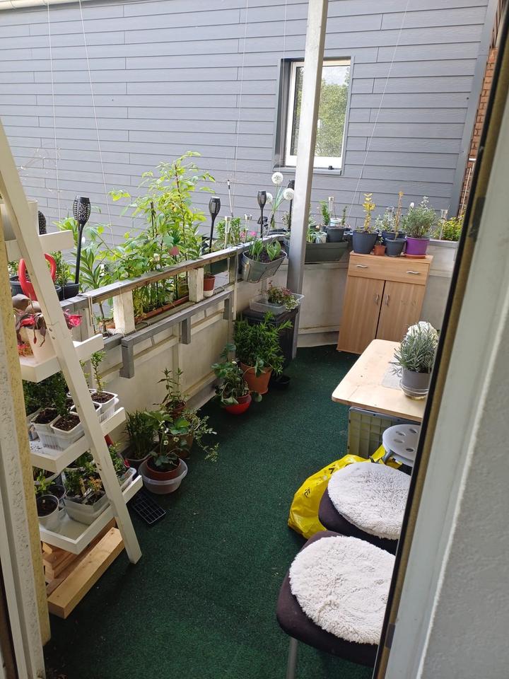 Thumbnail-Schöne 2 Zimmer-Wohnung mit Balkon in Siegen-ab sofort verfügbar