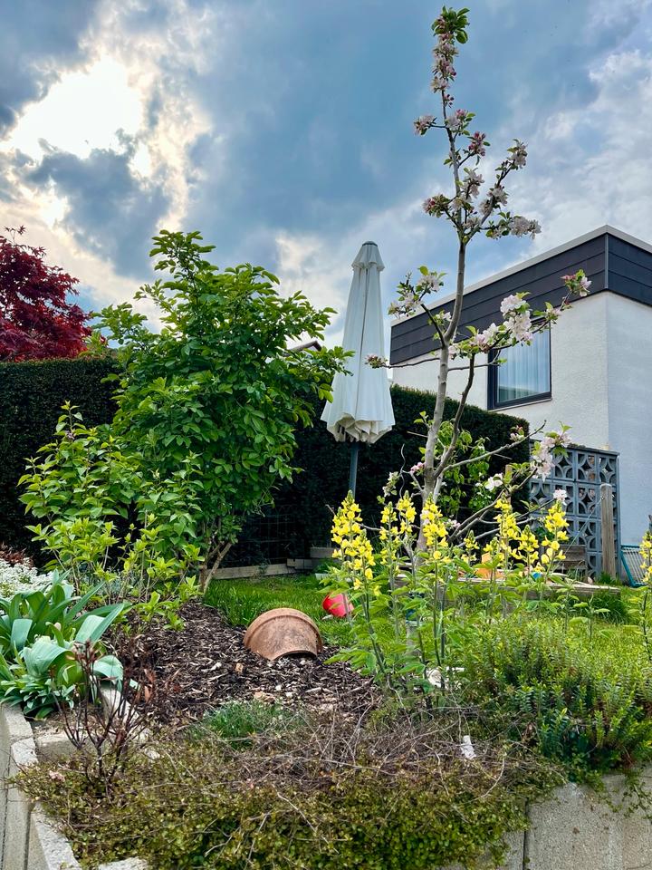 Thumbnail-4,5 Zimmer im EG mit Garten, Garage und Hobbyraum