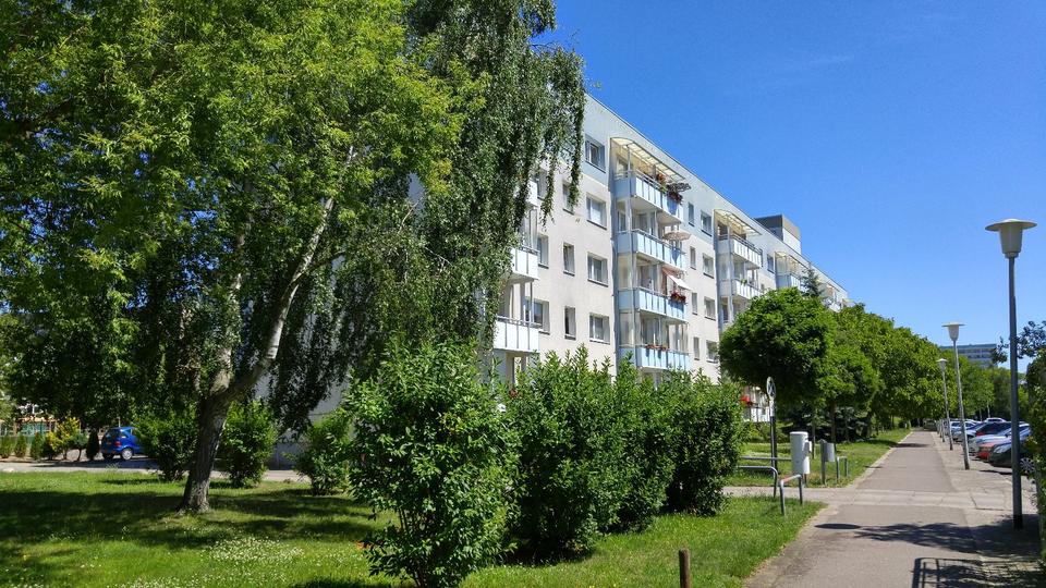 Thumbnail-2-RAUM WOHNUNG IN NEUBRANDENBURG ZU VERMIETEN