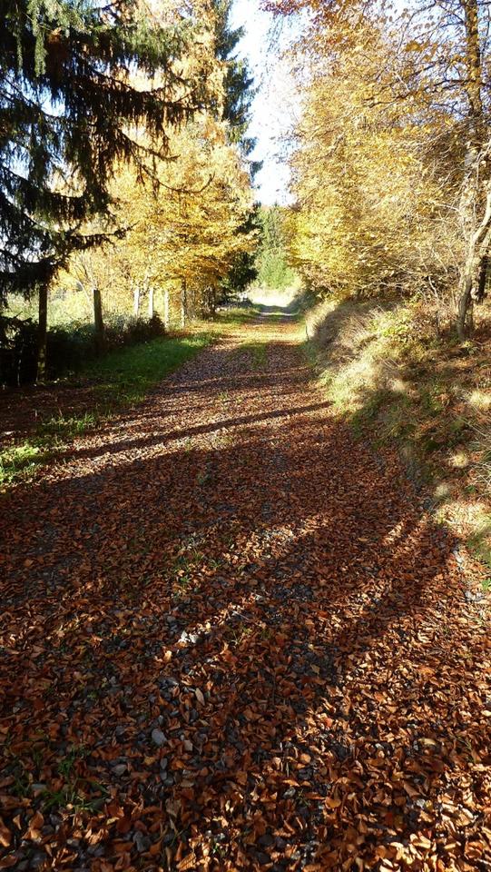Thumbnail-Ferienwohnung im Sauerland kurzfristig frei