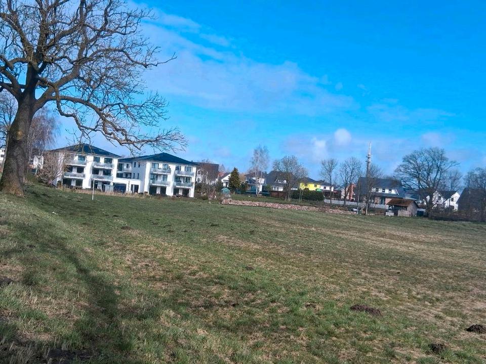 Thumbnail-Vermietung Erdgeschosswohnung Neubau