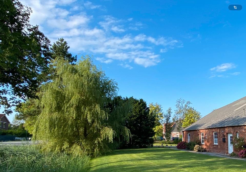 Thumbnail-Charmante ebenerdige 3-Zimmer-Wohnung in Bunde OT Bunderhammrich