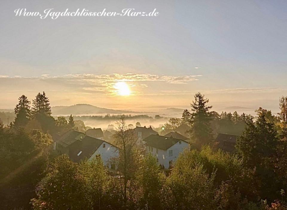 Thumbnail-2 Etagen Penthouse moderne FeWo Ferienwohnung Harz Bad Sachsa,