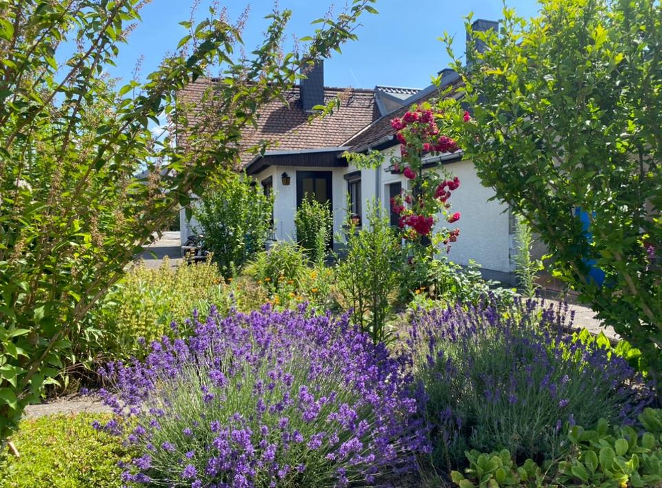 Thumbnail-Doppelhaushälfte im Erholungsort Wermsdorf