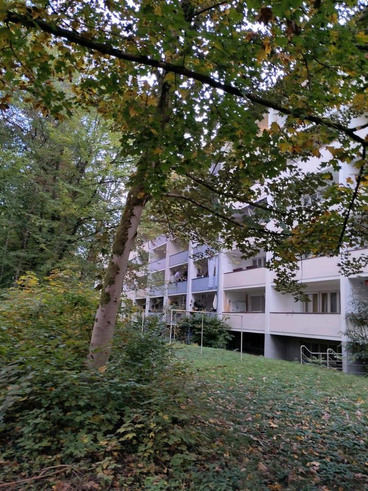 Thumbnail-Einzimmerwohnung in Karlsruhe Stadtteil Waldstadt beim KIT