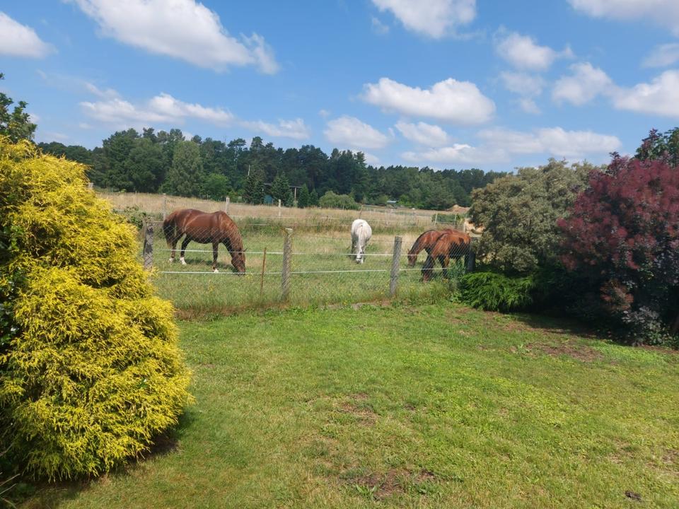 Thumbnail-Haus & Grundstück bei Oranienburg Ideal für Familien