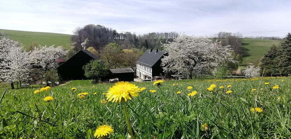 Thumbnail-Hofgemeinschaft bietet Wohnungen in schöner Naturlandschaft
