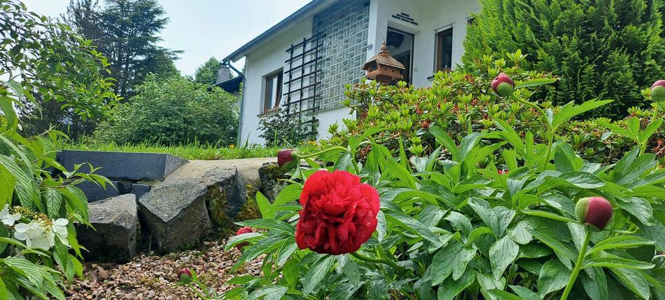 Thumbnail-Ferien in der Eifel, Ferienwohnung in Ramscheid