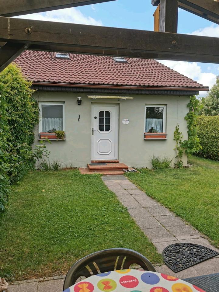 Thumbnail-Ferienhaus Mecklenburger Seenplatte 4 Personen