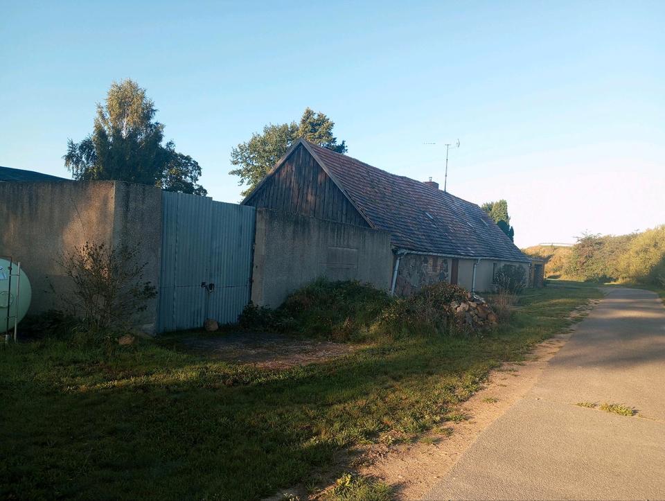 Thumbnail-Resthof in Alleinlage bei Jarmen