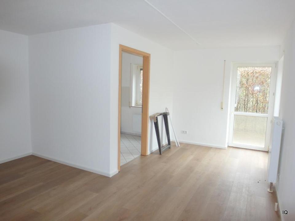 Thumbnail-Radebeul-Lindenau: Singlewohnung mit Terrasse * frisch renoviert, mit neuem Vinylboden und Dusche