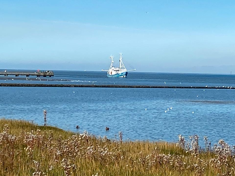 Thumbnail-Ferienwohnung an der Nordsee in Burhave