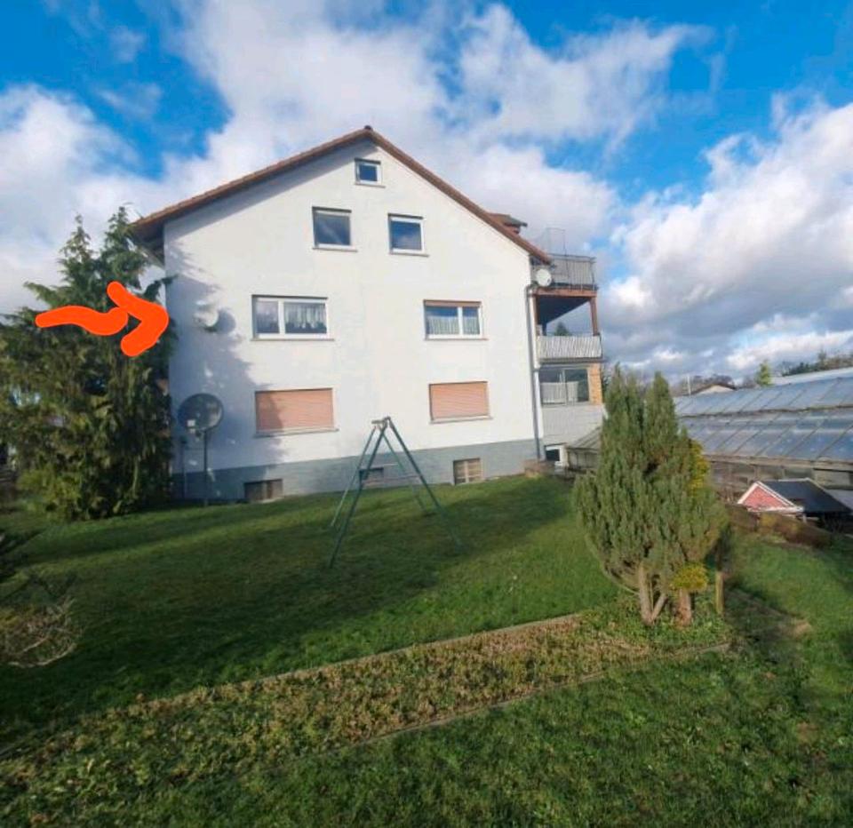 Thumbnail-Wohnung in Ettingshausen zu vermieten