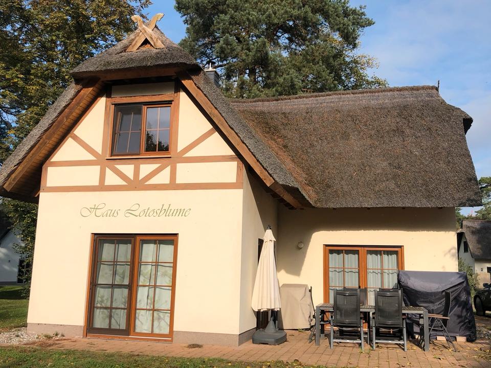 Thumbnail-Reetdachferienhaus mit Haffblick